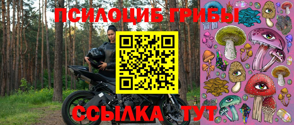 Галлюциногенные грибы Magic Shrooms Новороссийск