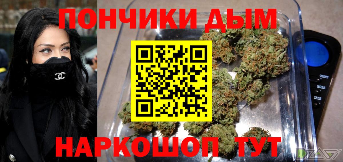 Бошки Шишки планчик Новороссийск